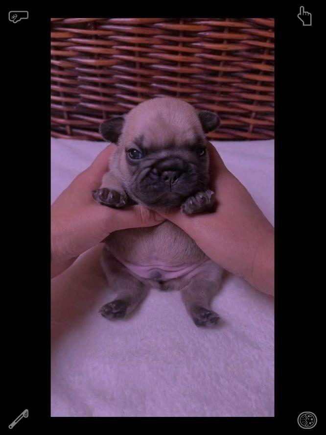 dawn_katte's tweet photo. 探索迪士尼色彩搭配与场景布局的独特艺术美感。明亮柔和的色调结合层次分明的空间设计，营造出舒适且梦幻的童话视觉体验。🌪阳台清洁，正在持续清理中 https://t.co/JBThlI83wt