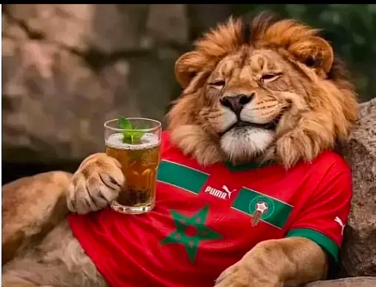 haltereee's tweet photo. Bonne chance ร chacun pour ce soir ! #ENGCOD #BELSEN https://t.co/cW1EdeBPqd