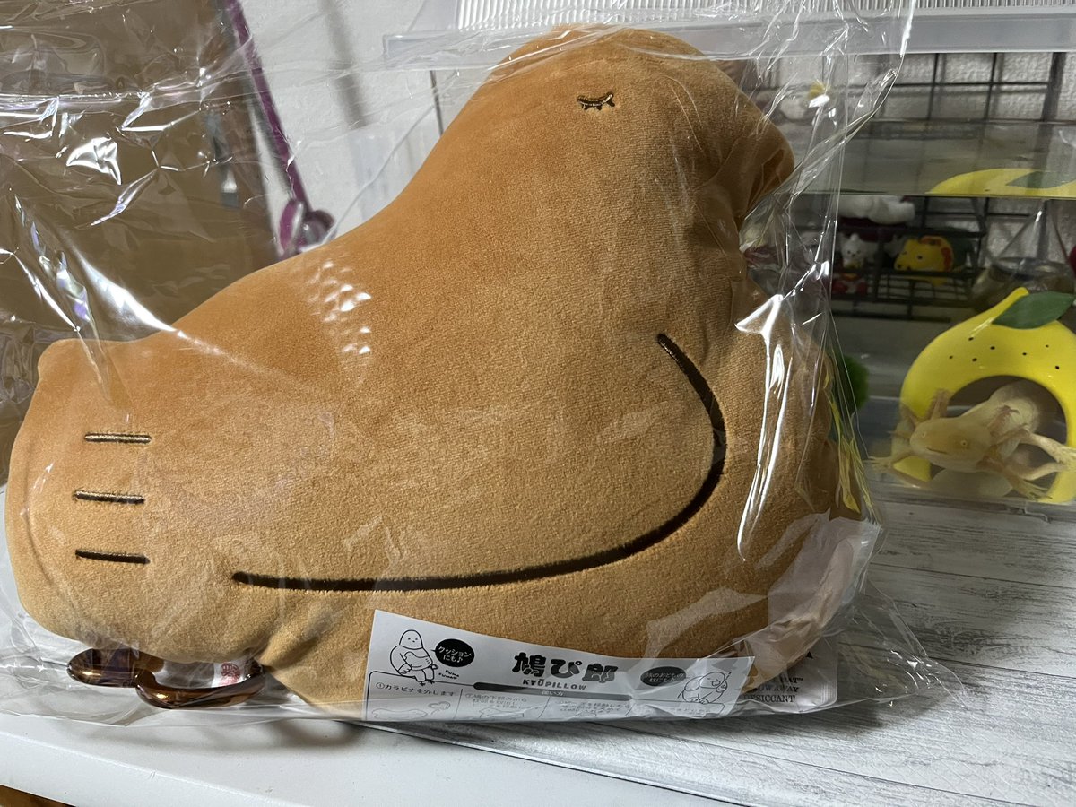 rith0629's tweet photo. ままぁの大好きシリーズ❤️
鳩サブレー🐦
たぁくさん買ってきたねwww
ぼくぅ💛も大好き😘 https://t.co/xxpwaBu2WU