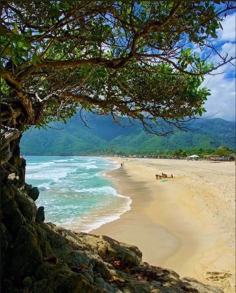 GianlucaCoccon1's tweet photo. Hermosa postal 
CUYAGUA ubicada dentro del Parque Nacional Henri Pittier 
Edo Aragua VENEZUELA 
@venezuelaenfoto https://t.co/sQK1nPG5dT