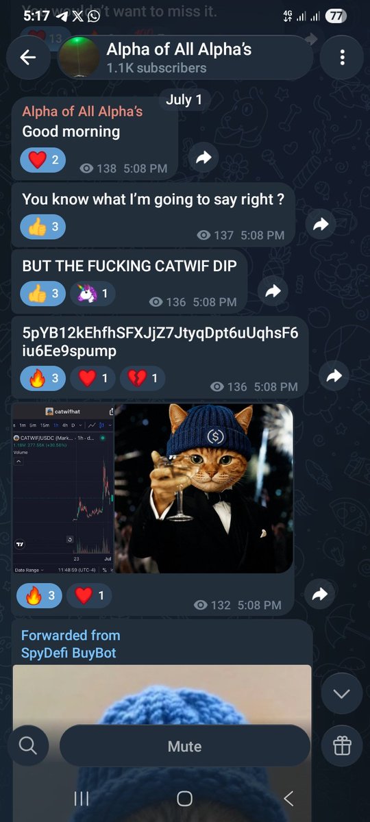 MaryamMetaX's tweet photo. @Kingstaccz Sir, I've been in your telegram group for a while and I always supporting the community..please don't leave me out..make me part of the $catwifhat holders. I promise I will to keep supporting the project..

Thank you 

@Kingstaccz

BB7LsMgBjY1btHrhwVuHZQSNmKxSpujUnMqiZT1QLGwc https://t.co/JSbkF8I2JN