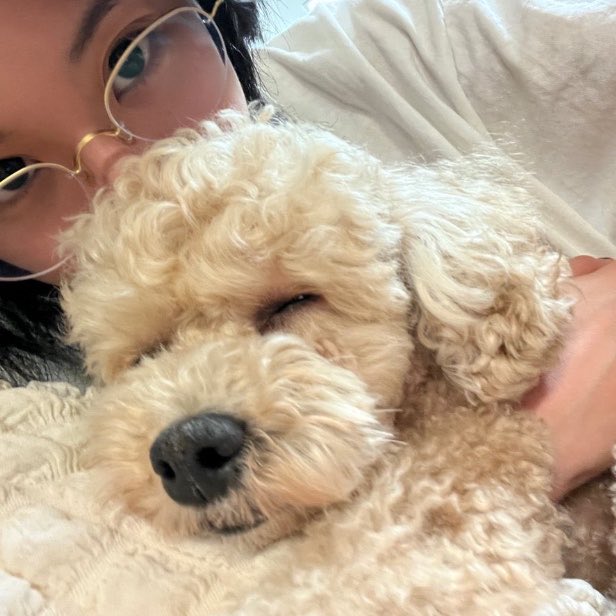 sc_8p1's tweet photo. 🍓: Our baby Logan, let’s meet again in heaven someday I love you🩵

I really hope our Chaey is doing okay i love her🥺 https://t.co/Y27KUGDpkR