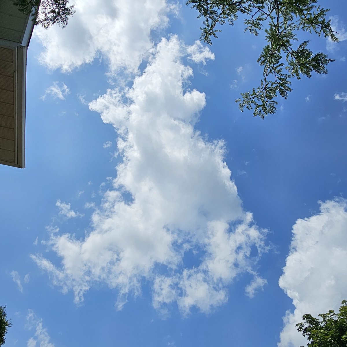 Kevinadian's tweet photo. England shaped cloud (kinda). An omen (maybe) 

#Fıfaworldcup2026 #ENG https://t.co/1SUOdT1JNg