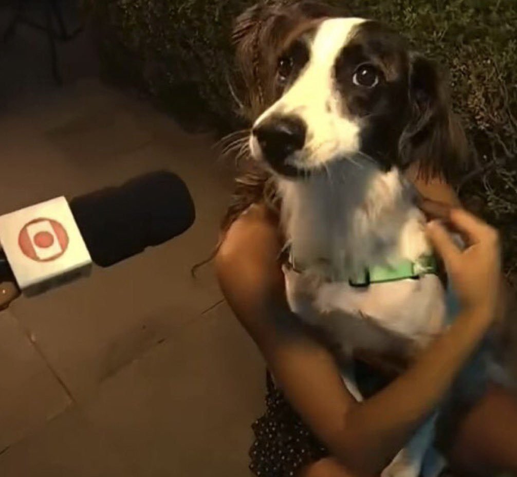 itxsjuh's tweet photo. justo hoje quando eu saio com meu tênis branco limpo resolveram pichar a rua https://t.co/GCe4YQcIsA