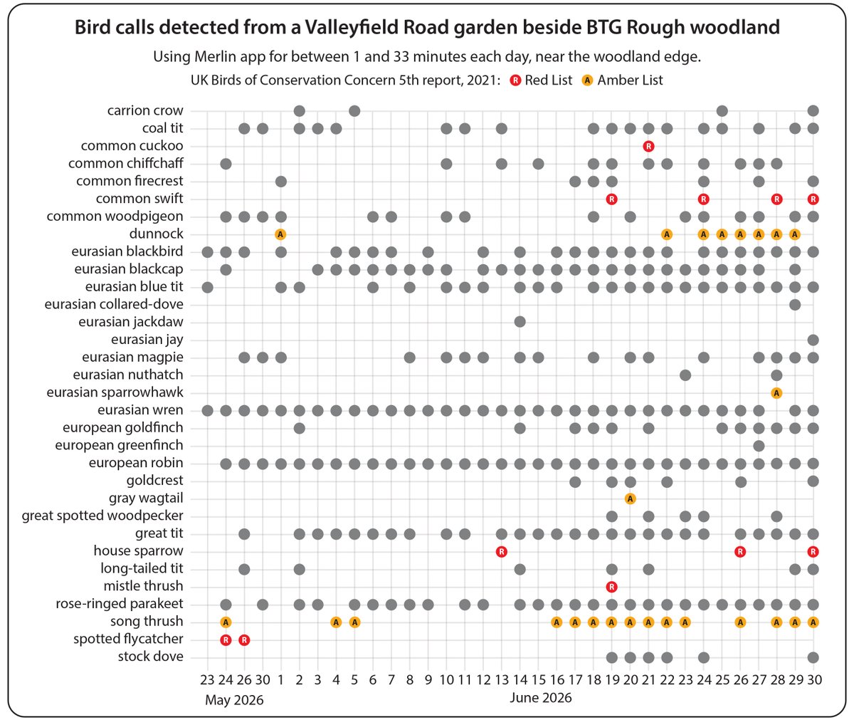 BTGRough's tweet photo. Bird calls detected beside the BTG Rough woodland throughout June, including red and amber listed #songthrush #housesparrow #dunnock #commonswift #sparrowhawk https://t.co/vPTfnkJovi