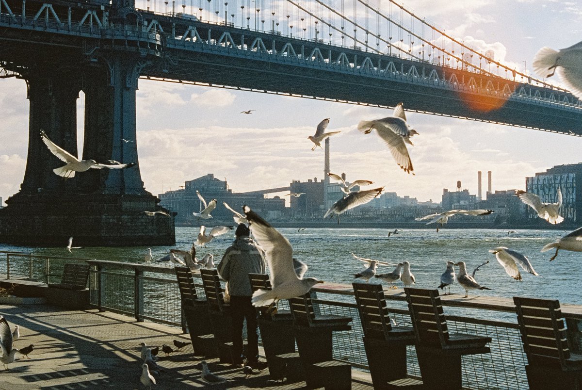 michaelboegl's tweet photo. New York on 35mm film 🎞️ https://t.co/LI1tX7Ym4I
