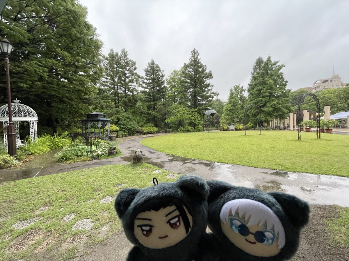 chartreusa's tweet photo. https://t.co/qnjIV255lg