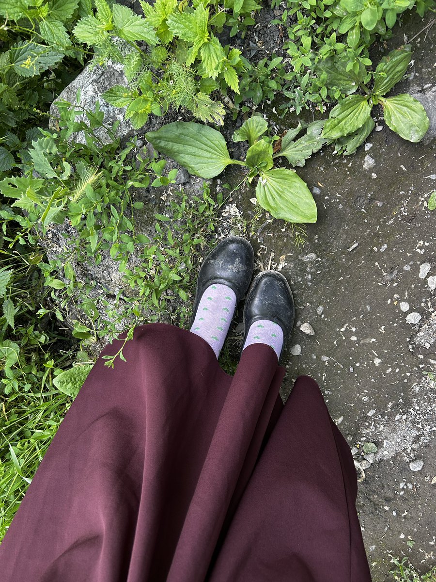 faatmeenur's tweet photo. Ne Adidas ne Puma yaşasın gundinasss (    Lastîka reş ) https://t.co/U0EJCQaV1U