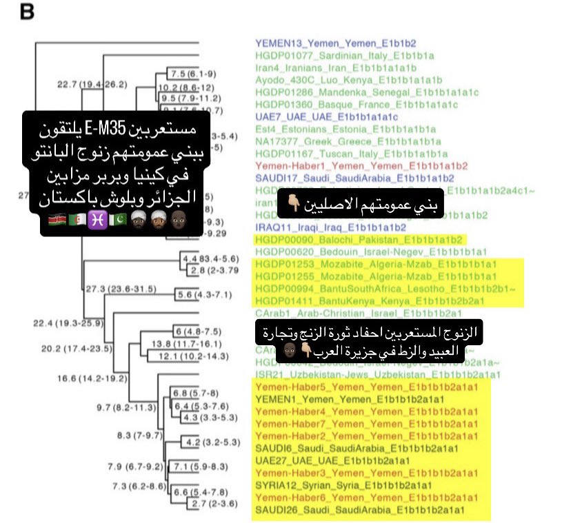 ض | 𐩳 tweet media