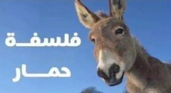 bernysimon3's tweet photo. @nesrlbikaa7t 🫵😂🫵😂🫵😂🫵😂🫵😂👿 https://t.co/7RhAaza3M1