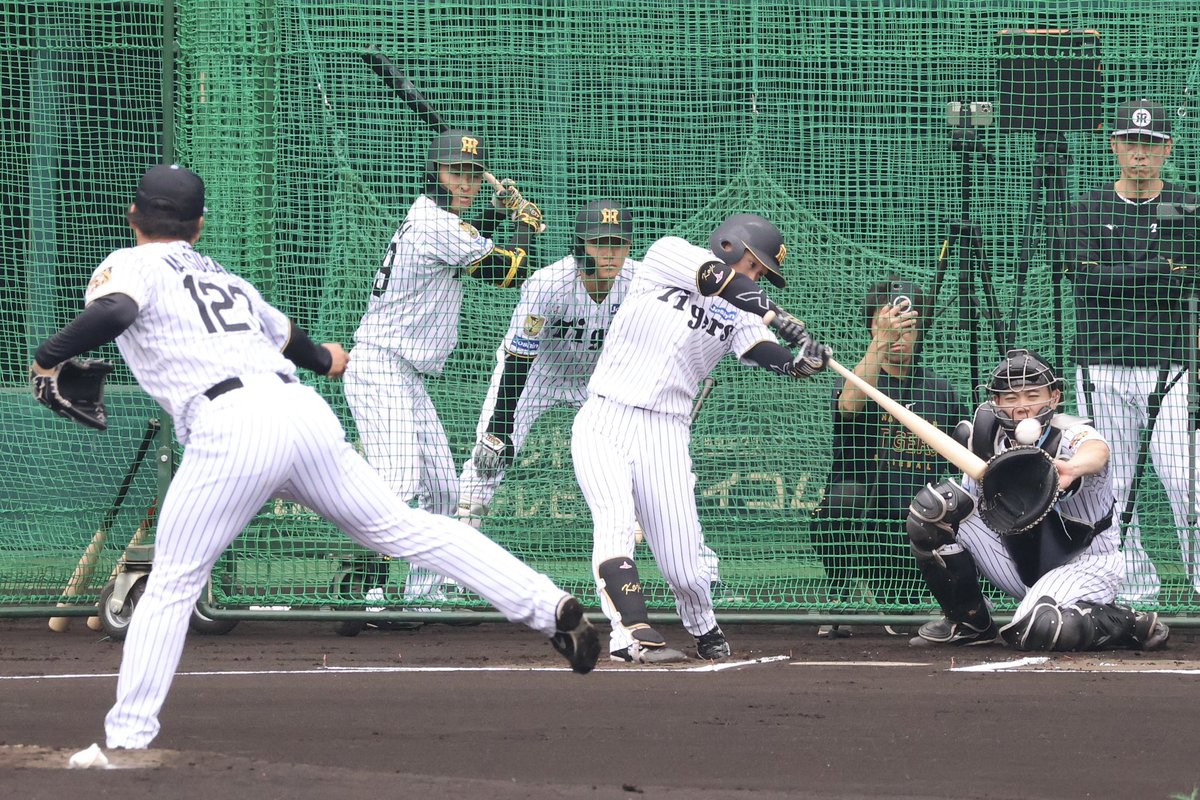 daily_fujimaru's tweet photo. シート打撃を行った #近本光司 選手
1打席目では、鮮やかな流し打ちで左前打を放ちました🔥
#阪神タイガース https://t.co/PXBR8UdwBS