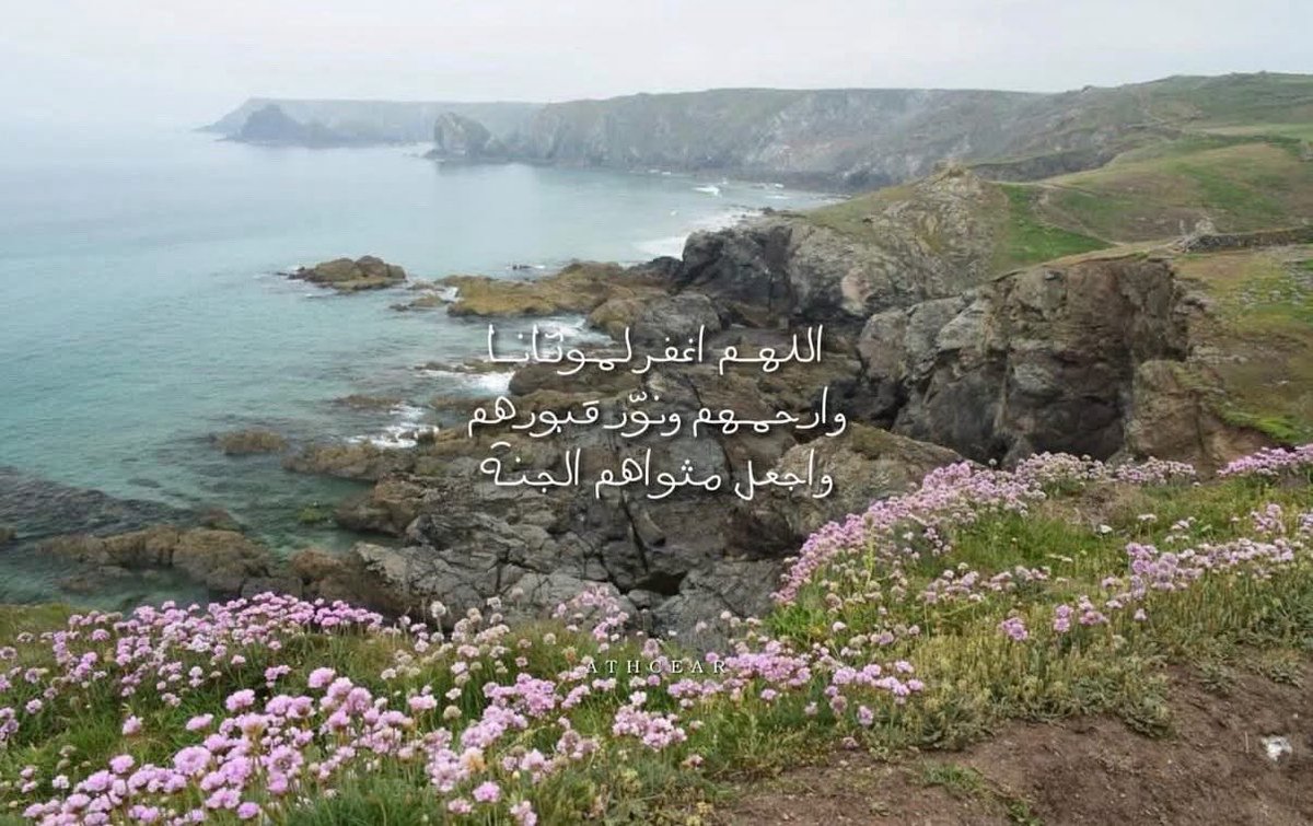 Fatima_268's tweet photo. https://t.co/T4Woeh0aea
