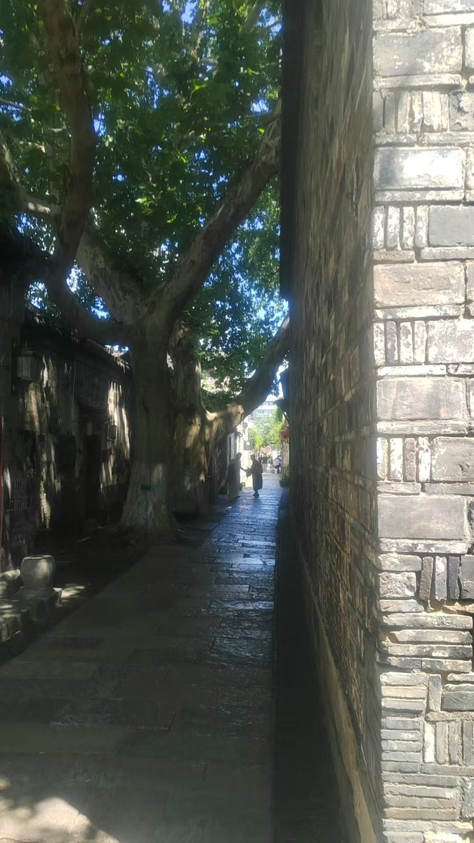 liushui520's tweet photo. 看起来2026年俄乌战争会结束，俄罗斯真的没有能力再战了  反之 乌克兰越战越勇 关键还是普京 他如果死了 战争立马结束 https://t.co/RSw11thT06