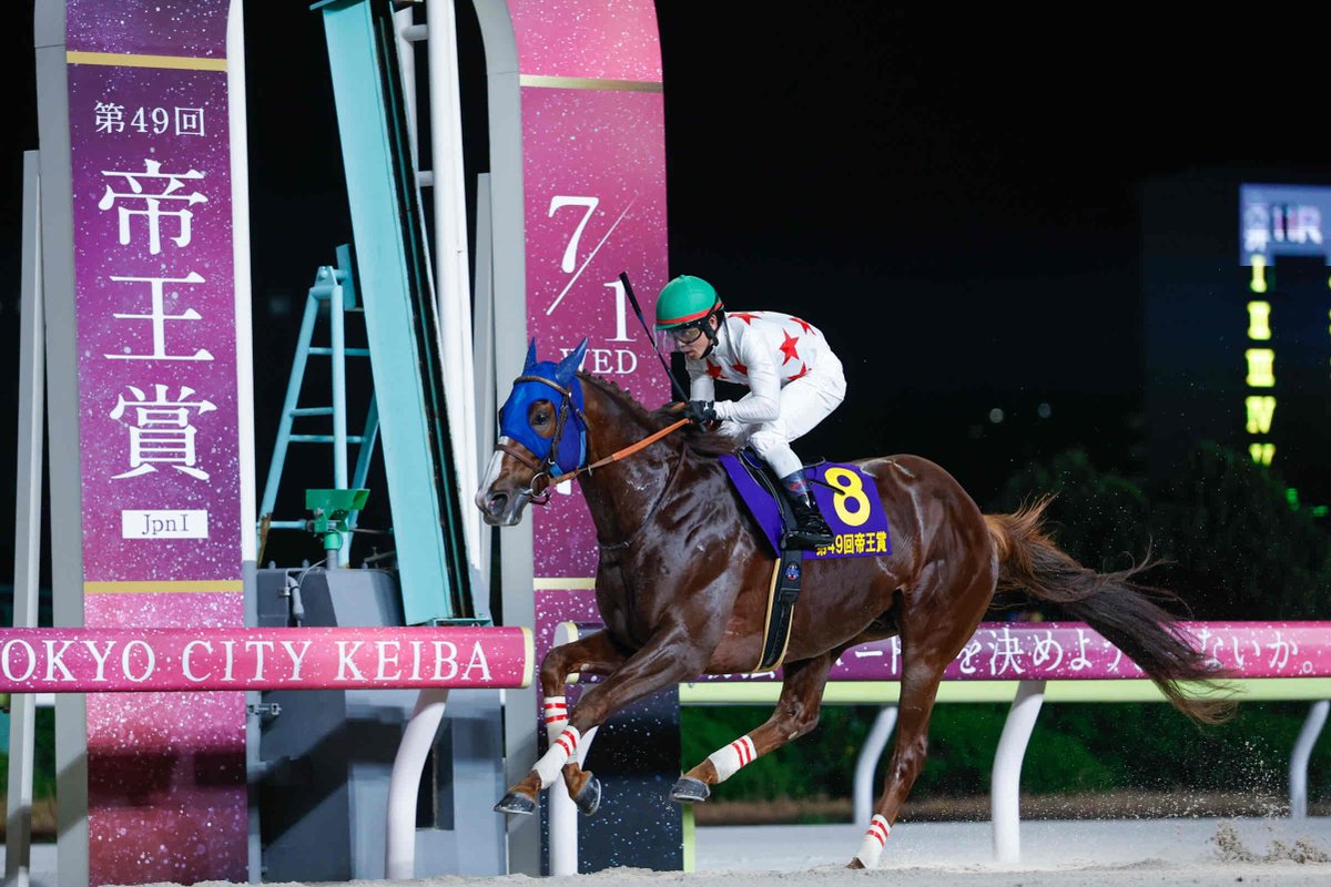 netkeiba's tweet photo. 闘志燃やして史上二頭目の連覇
大井に帰還の相棒と偉業を成就
#ミッキーファイト
#戸崎圭太 #ラモス瑠偉
#帝王賞
https://t.co/u5J9s4MFzu
撮影：高橋正和 https://t.co/kzROM55m5C