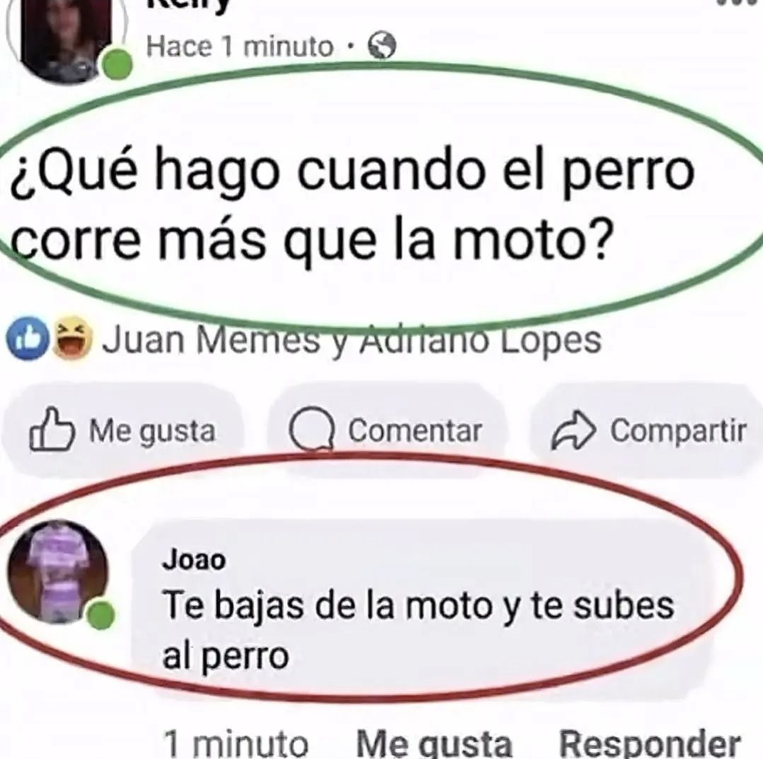 wikipistacho's tweet photo. https://t.co/2Hl7kPNt60