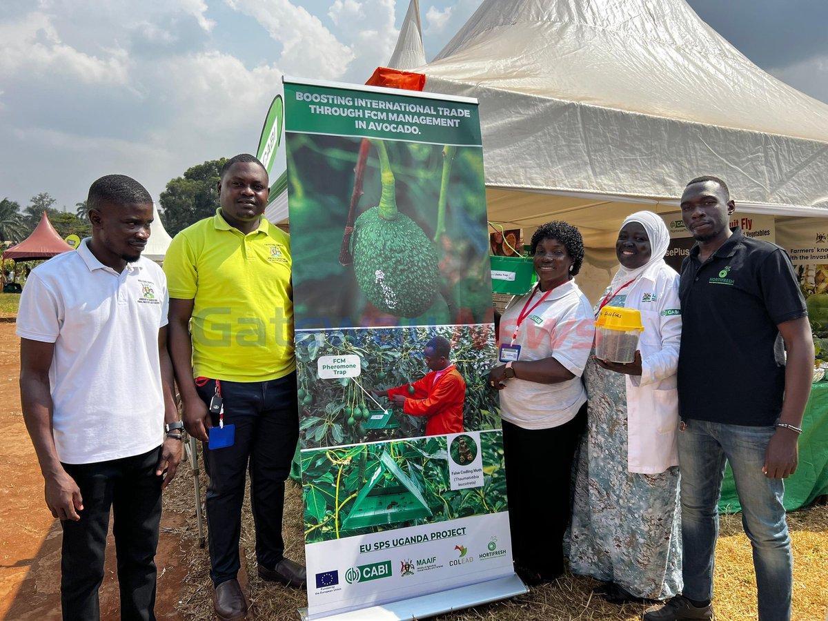 JohnmaryJones's tweet photo. EU Backs Ugandan Farmers to Beat EU Export Rejections
https://t.co/U3WzbhgZeS
#NationalAgriculturalShow #MAAIF #CABI #NewsUpdates 
#Agriculture #Exhibition https://t.co/mLFFoG97UT