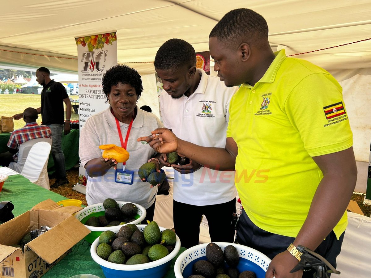 JohnmaryJones's tweet photo. EU Backs Ugandan Farmers to Beat EU Export Rejections
https://t.co/U3WzbhgZeS
#NationalAgriculturalShow #MAAIF #CABI #NewsUpdates 
#Agriculture #Exhibition https://t.co/mLFFoG97UT