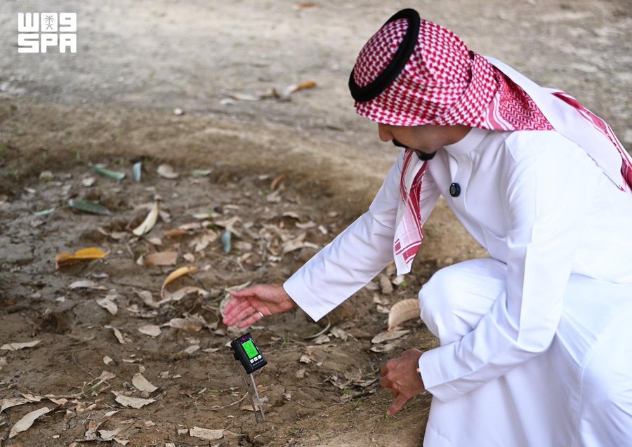 Saudi_Gazette's tweet photo. Artificial intelligence helped Haswah Mango Farm in Rijal Alma increase the flowering rate of most of its mango trees to more than 98 percent in 2026, highlighting the growing role of smart farming technologies in Saudi Arabia.

https://t.co/5WCbqbFI49 https://t.co/LJxCLY7Bm6