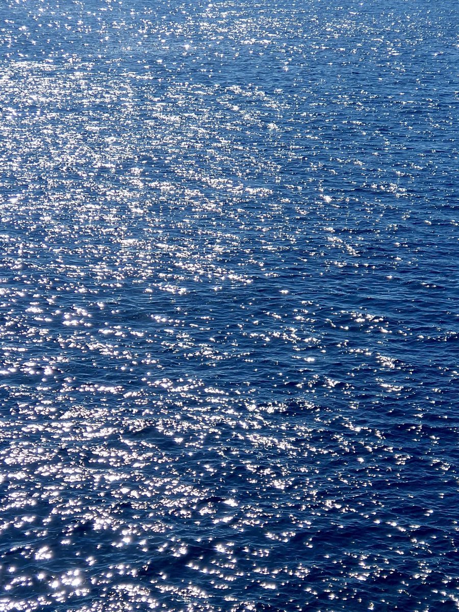 _Naturaee's tweet photo. the ocean is full of glittering beauty https://t.co/NV49MI29Y0