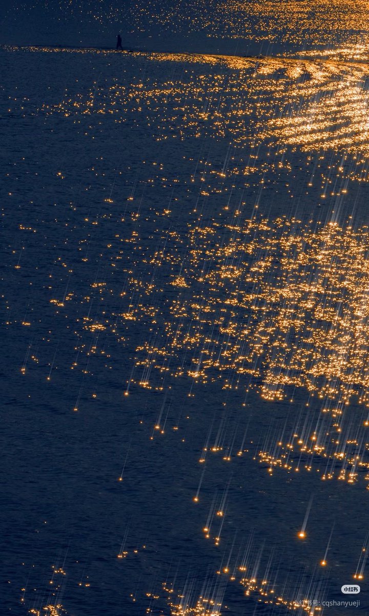 _Naturaee's tweet photo. the ocean is full of glittering beauty https://t.co/NV49MI29Y0