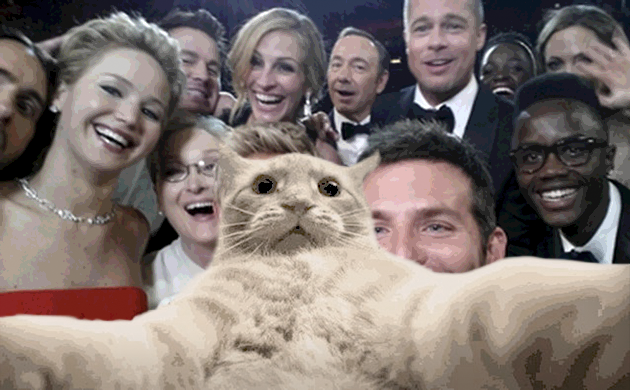 hensnl's tweet photo. the real 2014 Oscars snap https://t.co/XR1Yc4bIdY
