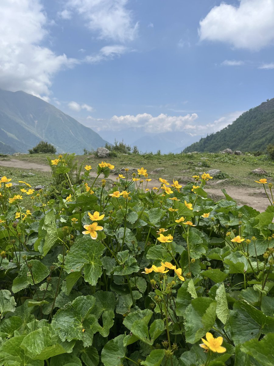 anusha_builds's tweet photo. Back to building from this beautiful trek

P.s. still cant feel my legs https://t.co/MVcc2ZeqtU