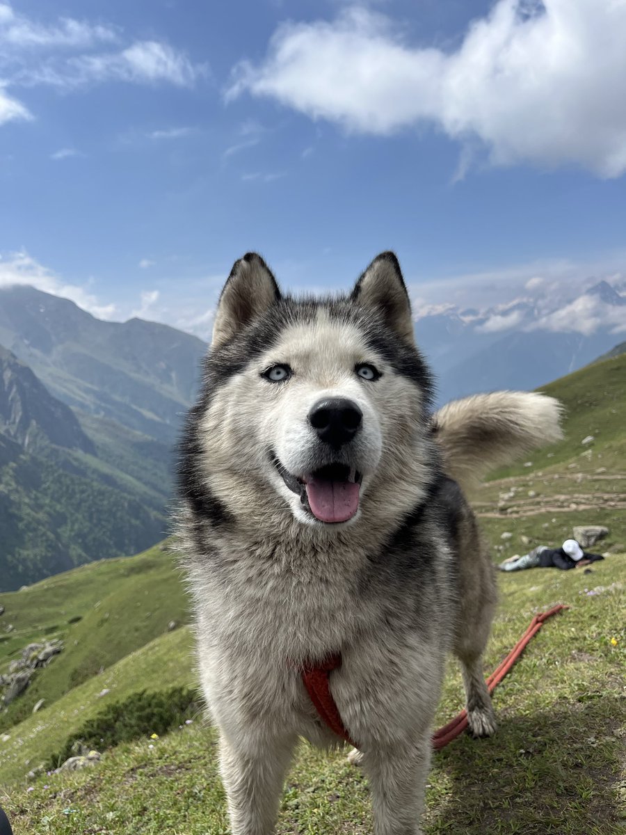 anusha_builds's tweet photo. Back to building from this beautiful trek

P.s. still cant feel my legs https://t.co/MVcc2ZeqtU