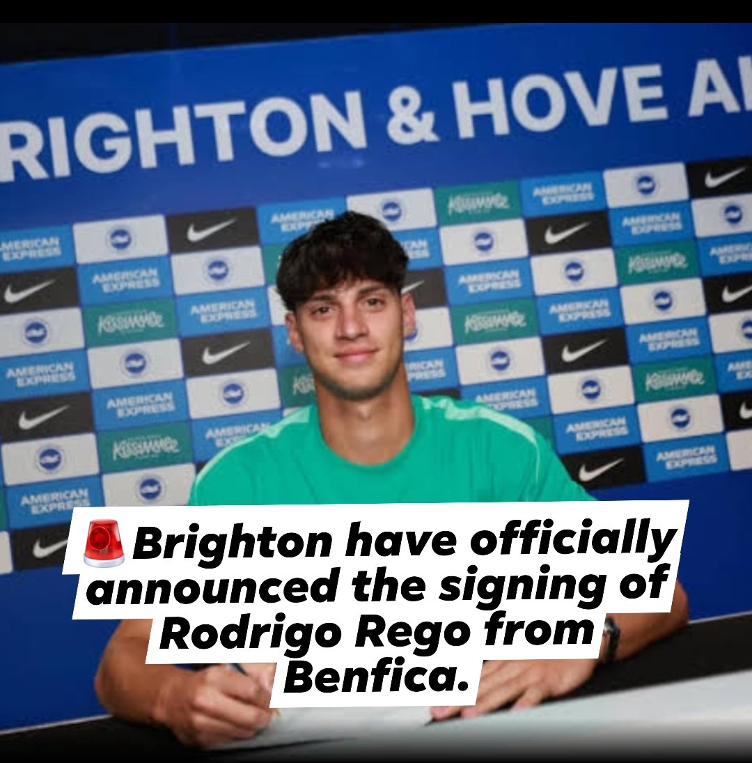 Brighton Albion Fans tweet media