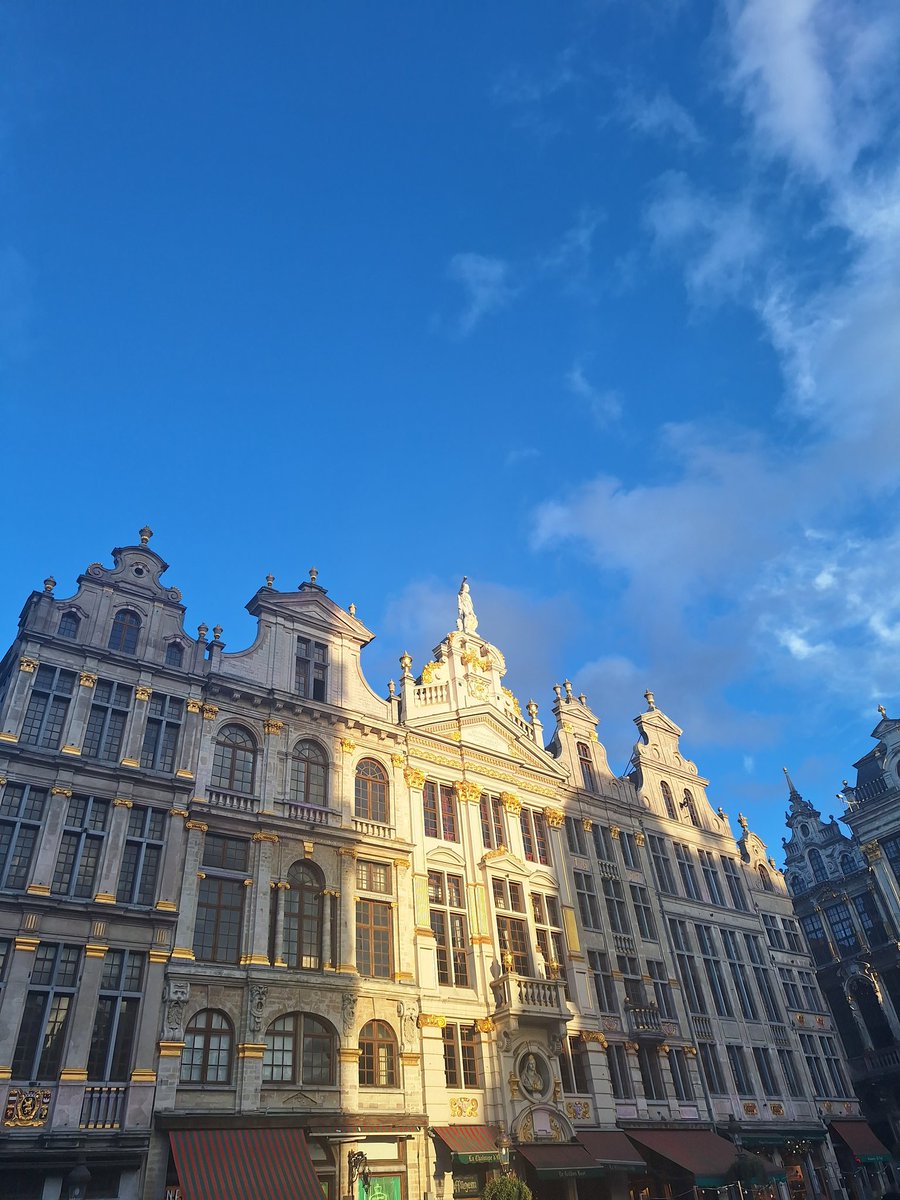 wonhyukelast's tweet photo. Beautiful BXL 🎷 yall need to stfu genuinely <3 https://t.co/7NgWSAxcOt