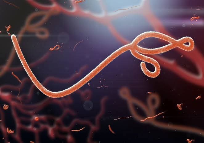 DailyObserverNG's tweet photo. Ebola Threatens $3.6bn Loss, Hundreds of Thousands of Jobs Across Africa — UNDP | Daily Observer 

Read more...
https://t.co/7bMVbR54MI https://t.co/7Td5pjQ5df