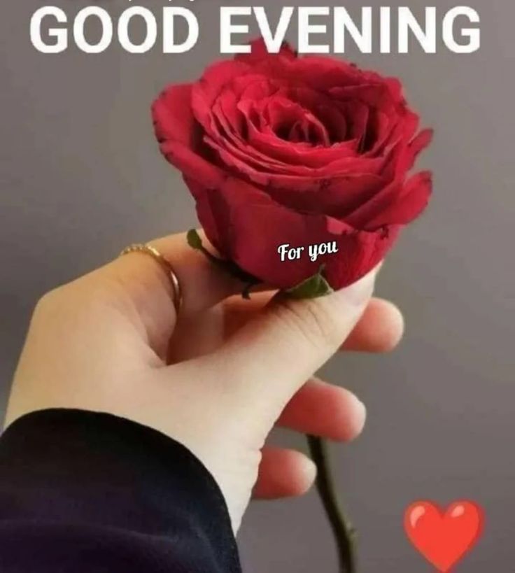 Sana Khan ....🍁 tweet media