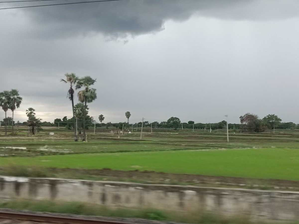 doracake's tweet photo. Indian villages at their peak beauty during raining season.

shot from a moving train and hence so shaky.

Crossed a village named "Odela". what an absolute eye candy 😍🫶 https://t.co/FSqOdU8nnf