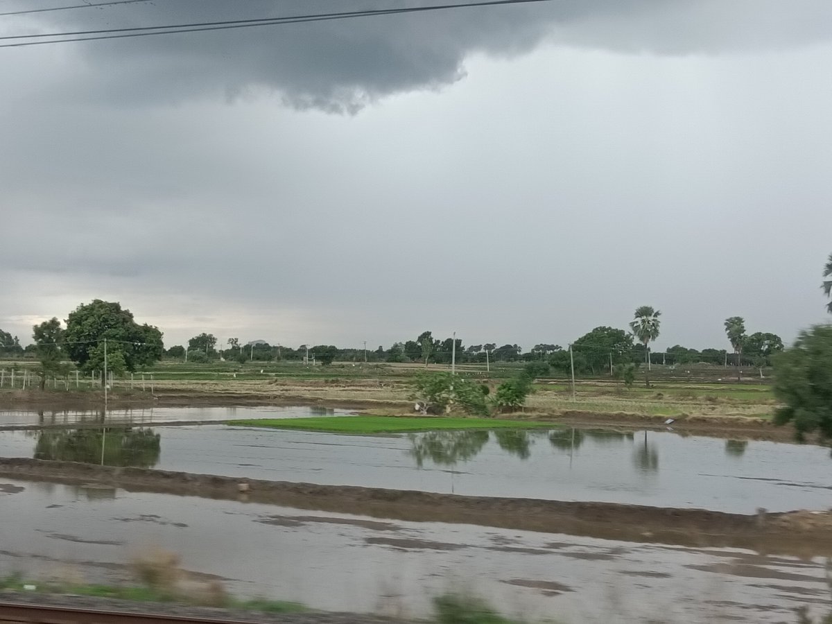 doracake's tweet photo. Indian villages at their peak beauty during raining season.

shot from a moving train and hence so shaky.

Crossed a village named "Odela". what an absolute eye candy 😍🫶 https://t.co/FSqOdU8nnf