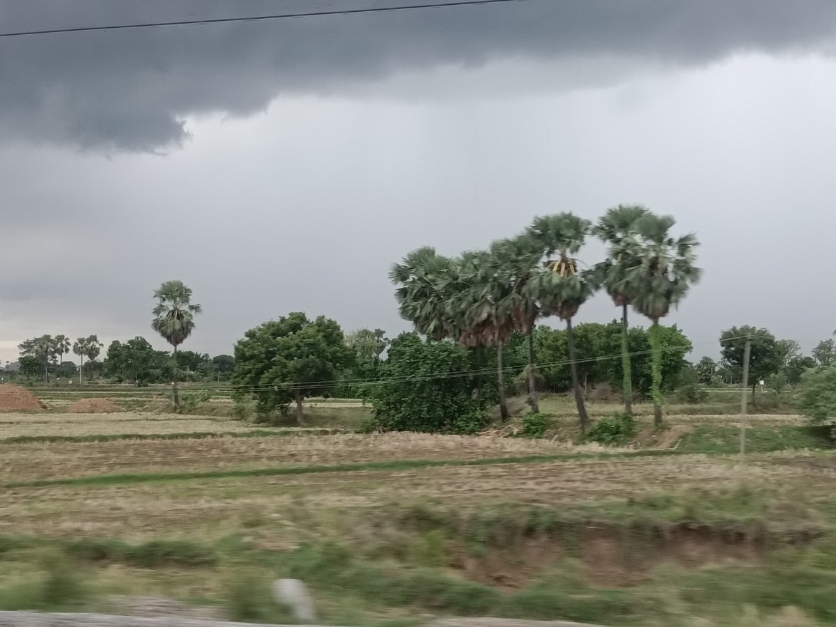 doracake's tweet photo. Indian villages at their peak beauty during raining season.

shot from a moving train and hence so shaky.

Crossed a village named "Odela". what an absolute eye candy 😍🫶 https://t.co/FSqOdU8nnf