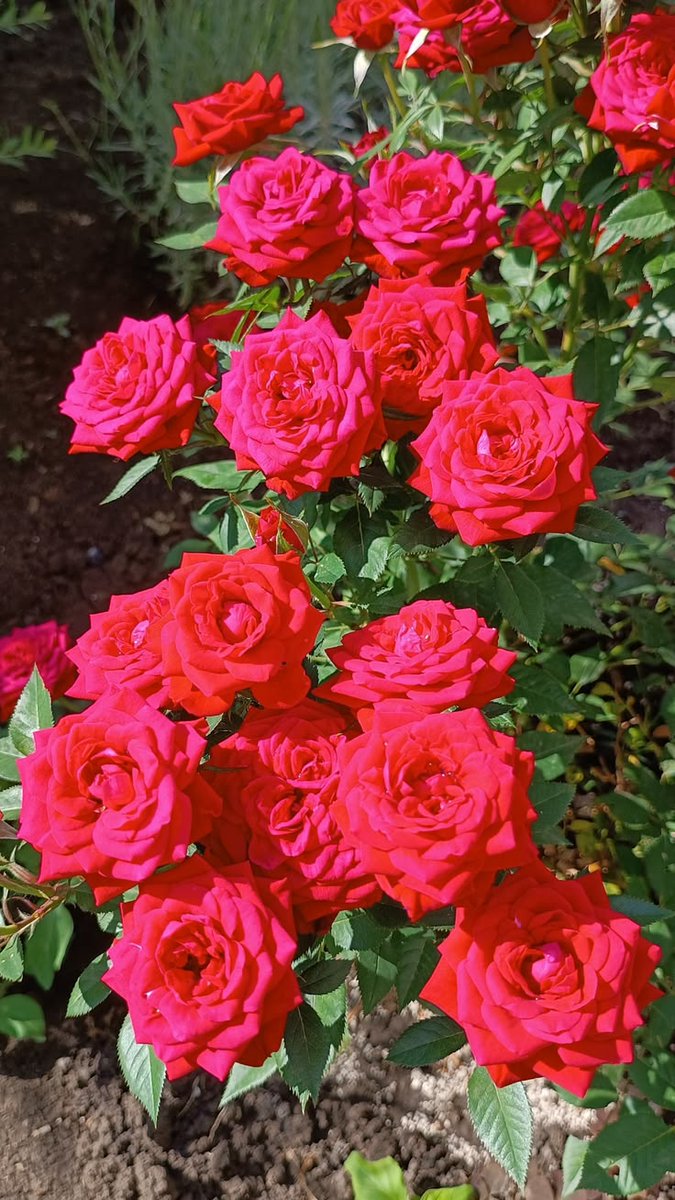 beautif46785922's tweet photo. https://t.co/MEUdB8ZFvO