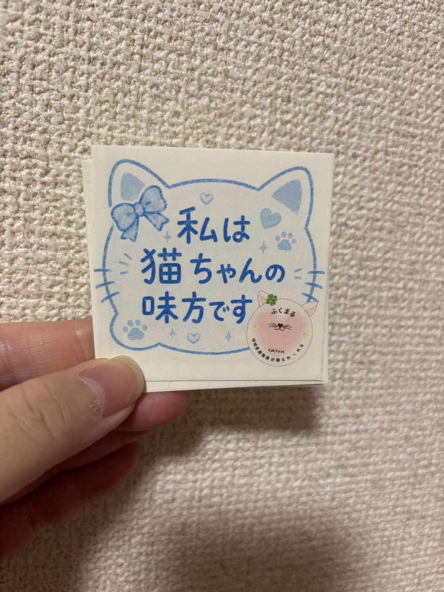 kokokokozuta's tweet photo. 『猫保護団体ふくまる』への寄付シールの新作、猫ちゃんの味方ステッカー！！
手売りです笑
1枚300円。売り上げは全額、ふくまるへ寄付致します！
こずこずを見かけたらよろしくお願い致します！　#猫　#保護猫 https://t.co/StzMxkaCP9
