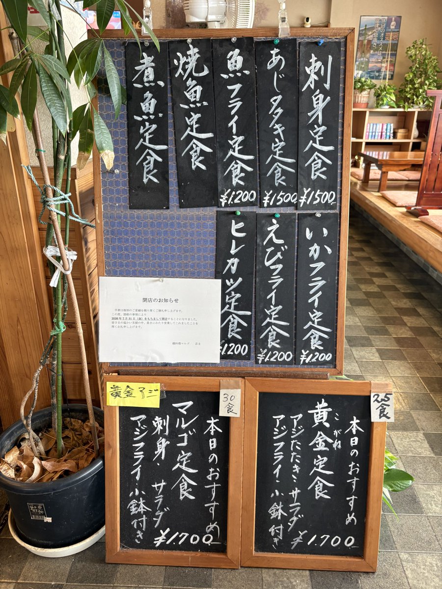 ichi265's tweet photo. 磯料理 マルゴ

黄金(こがね)定食1700円
ご飯大盛100円
おかわり小盛100円

黄金アジを求めて人気店に凸
厚みのあるアジフライはサクサクふわふわ😆
アジのたたきも絶品🎉
ご飯が足らずおかわり😅
今月で閉店は残念😭
ご馳走さま😊

2026.7.1

#磯料理マルゴ #黄金アジフライ https://t.co/8ICiw3xERn