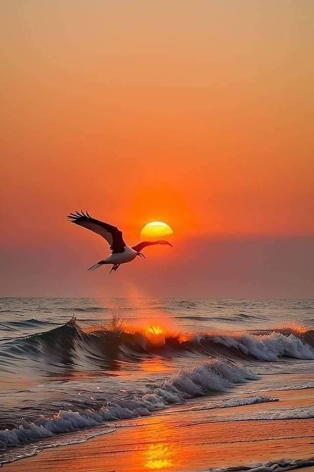 nature4u9's tweet photo. https://t.co/zr4wjUoWjr