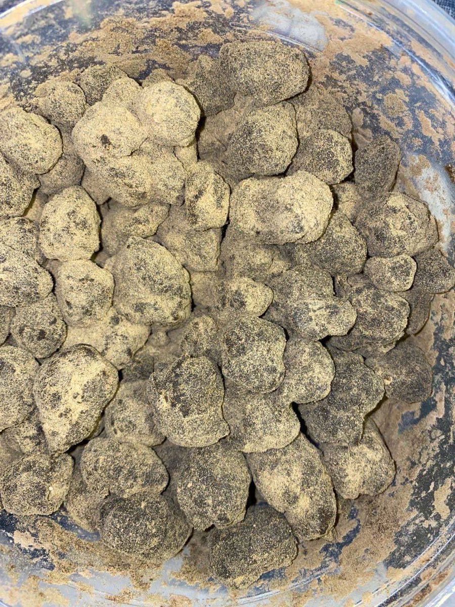 plugwalk001's tweet photo. Moonrocks Available 💯🔥
Actively replaying DMs 📲💨💯‼️
Delivery 🚚 💨💯
Thank me later‼️🥶🔥💯📲

#Texas #Dallas  #DallasToDo  #DTX #DallasFreaks #DallasMeetups #DallasMeets #texasgirls #dallasgirls #Zaza #DallasCowboy #MFFL #DallasEats #DallasFoodies #DallasZa https://t.co/k6E9VuF9kD