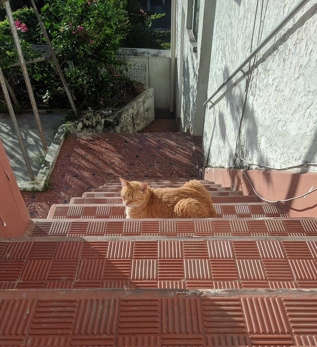 helloweirdo80's tweet photo. Solzinho. 🌞🌞🌞💛💛💛 https://t.co/SAkv7R5xOe