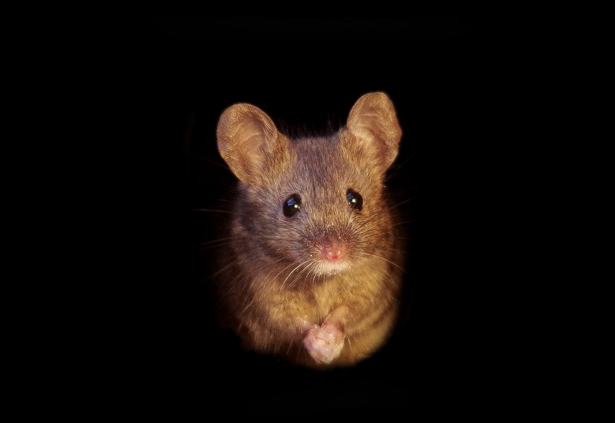 simon_dell_tog's tweet photo. https://t.co/78ERUZMtRl