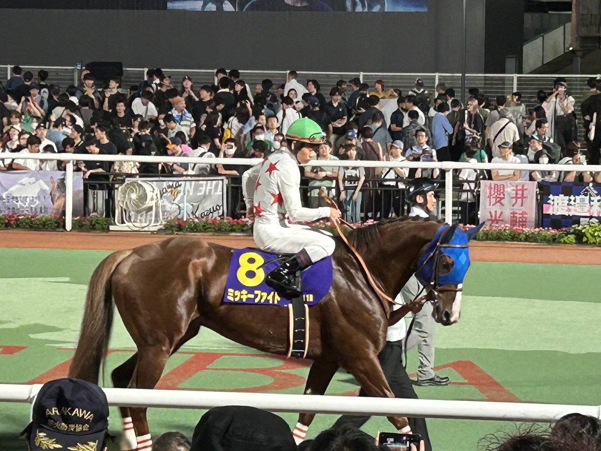 gorogoro0506's tweet photo. 仕事終わりに大井に来て
帝王賞観てきた！戸崎とミッキーファイト
強過ぎた👏
勝たしてくれてありがと！
#帝王賞 https://t.co/LltEDMc6qq