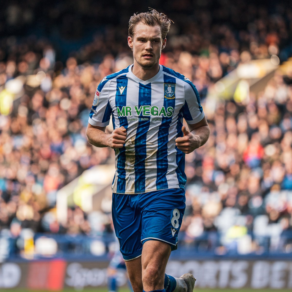 swfc's tweet photo. Svante Ingelsson has joined Stoke City for an undisclosed fee.

Thank you for your contribution and good luck for the future, Svante 🤝
