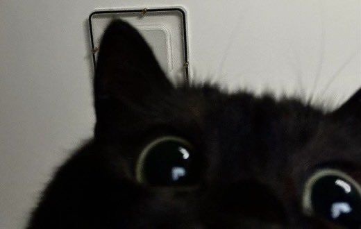 de3dsoul's tweet photo. mew https://t.co/Qcakp3tAgQ