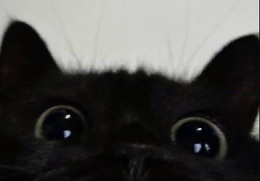 de3dsoul's tweet photo. mew https://t.co/Qcakp3tAgQ