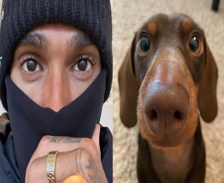 lewscars's tweet photo. ↻ + ♡ are appreciated!

pre-race week ritual: looking for new #f1twt moots!

☆ she/her. ↑21. eng/idn. 🇮🇩
☆ drivers: 44 (main), 81, 55, 63, 23. 🧿🪬
☆ respect all drivers except LS.
☆ expect me to say 1-2 things on race week (but nothing to excessive)

rep/like to be moots! https://t.co/pSyAus3XAF
