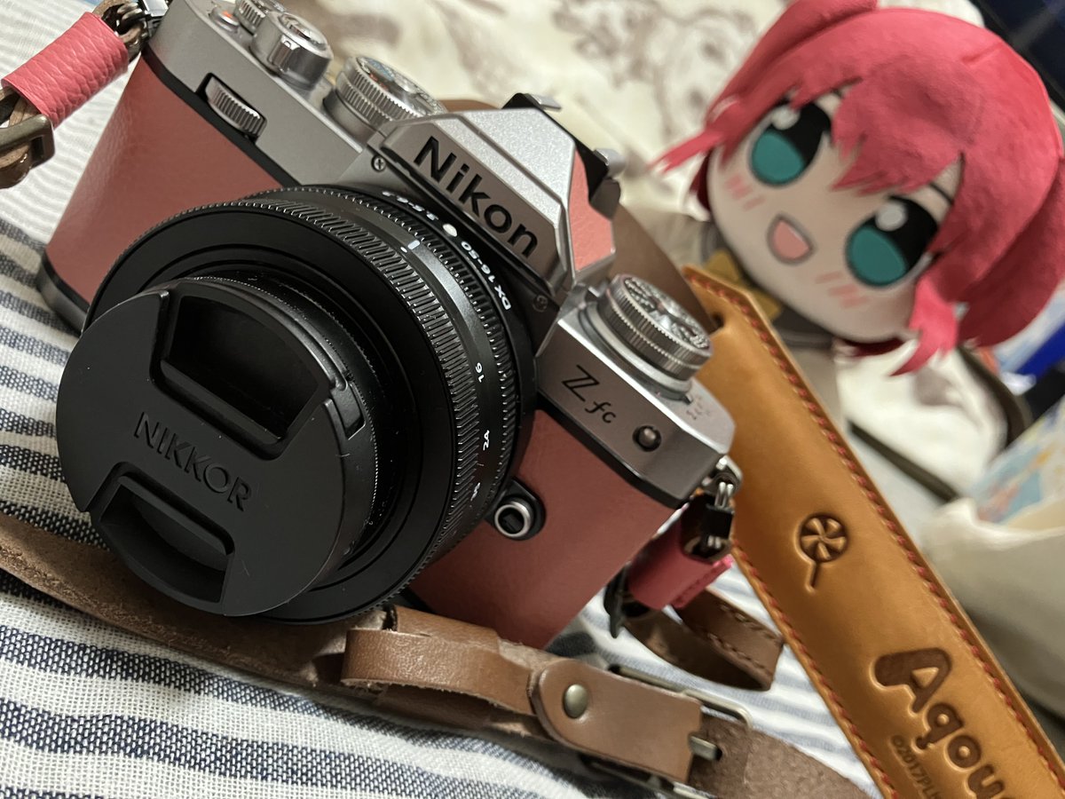絶対に買わないと言ったzfcが 何故かある…