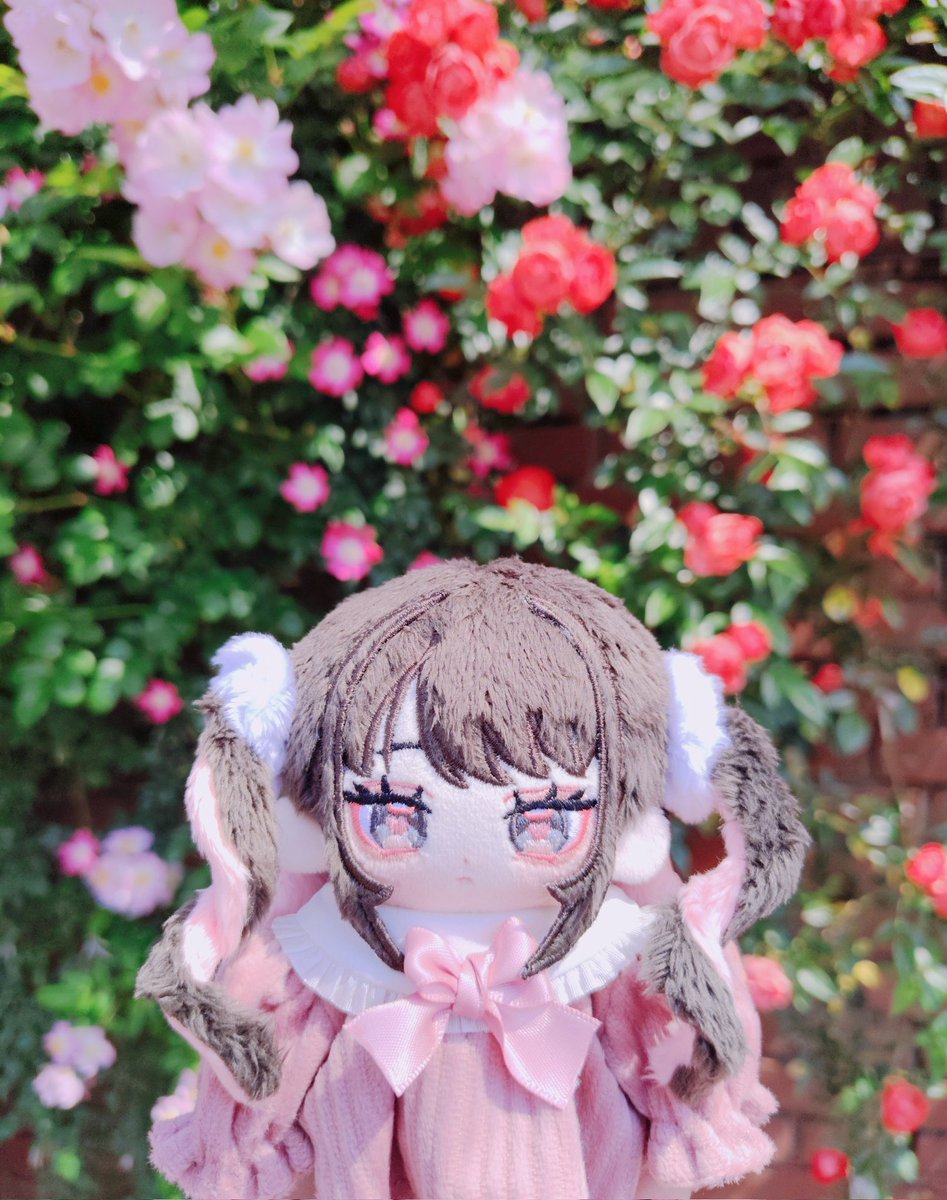arinko_ark's tweet photo. この旅が初めての遠出だったももーいちゃん！
薔薇の似合う美少女です🥰

#nuieruko https://t.co/h0VIJy8DZD