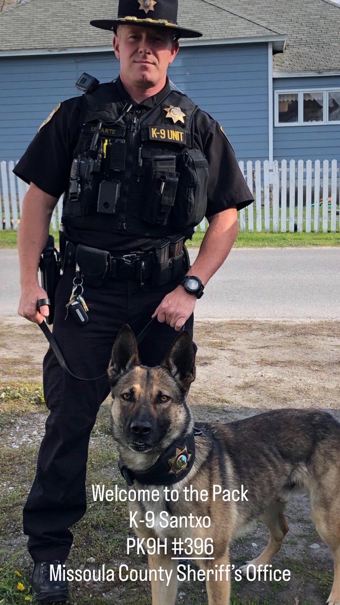 Project K9 Hero tweet media