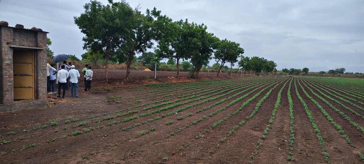 sdm_dhari's tweet photo. ધારી તાલુકાનાં  દેવળા ગામે મામલતદાર કોર્ટ એક્ટ તળે રીવીઝન કેસ તળે સ્થળ તપાસ
@CollectorAmr https://t.co/8Vi3P82gXl